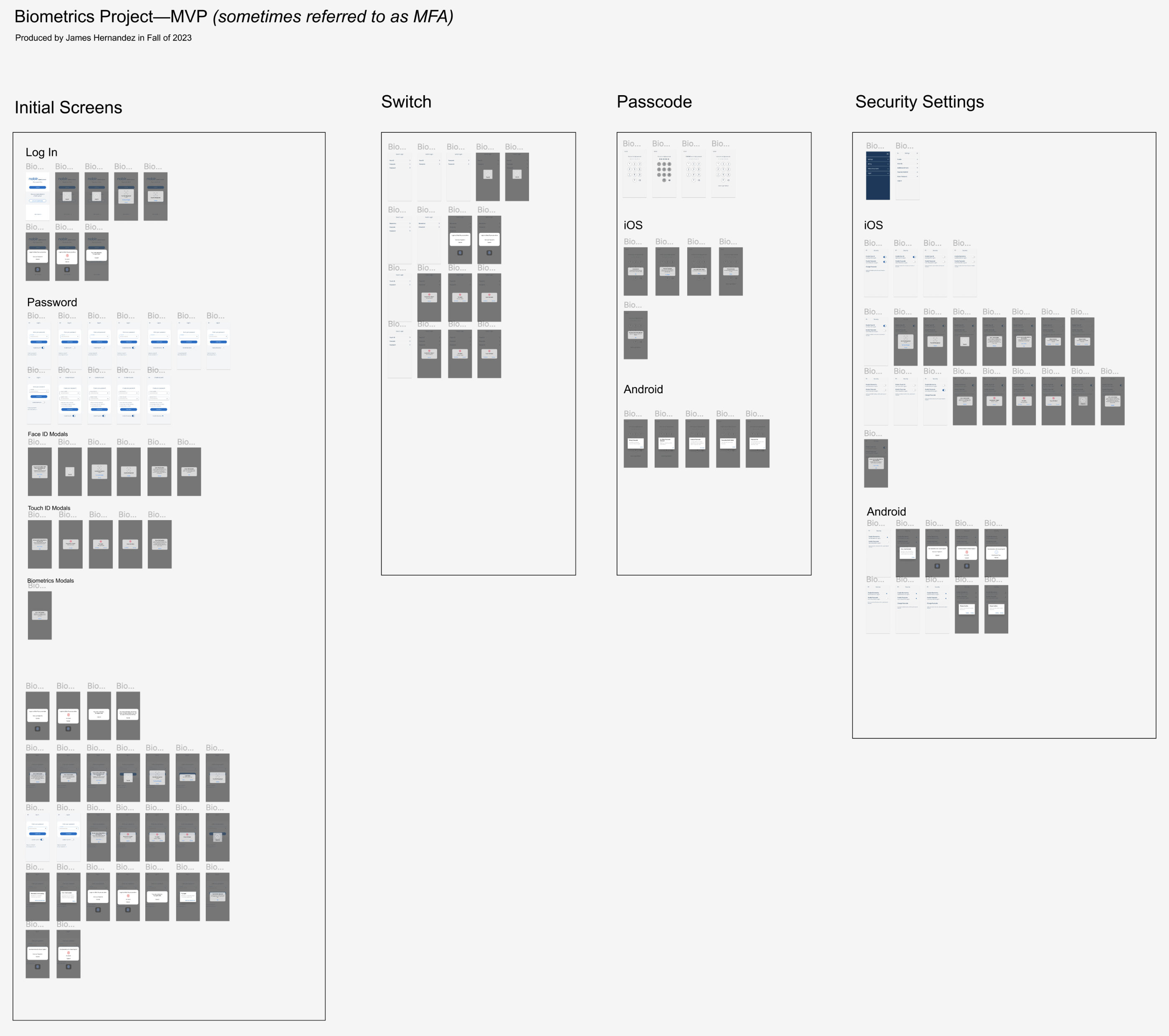 Biometrics Flow